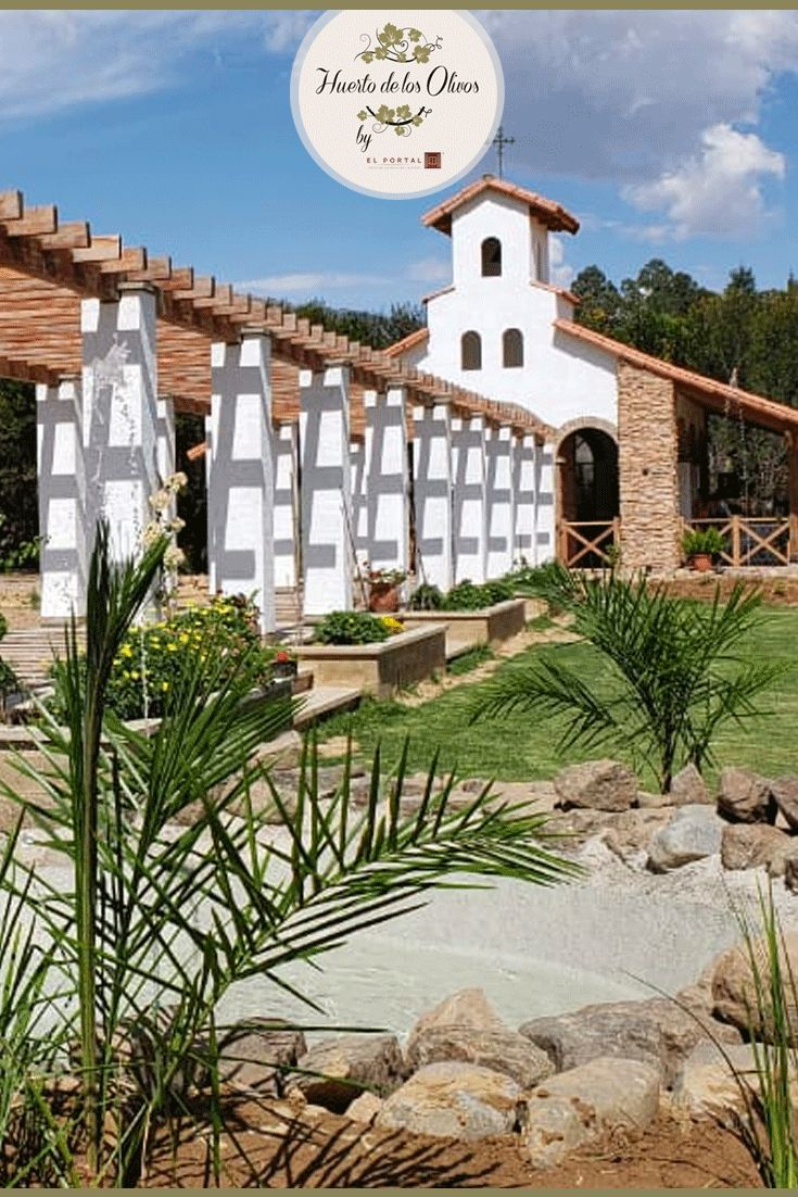 Huerto De Los Olivos | Huerto De Los Olivos, Huerto, Jardines concernant Jardines Con Olivos