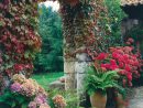Ideas E Imprescindibles Para Decorar El Jardín - Decóralos pour Decorando El Jardin
