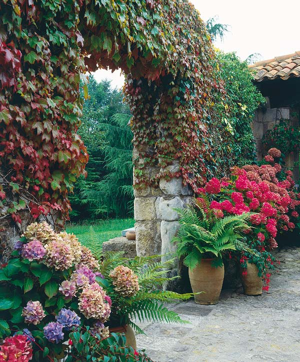 Ideas E Imprescindibles Para Decorar El Jardín - Decóralos pour Decorando El Jardin