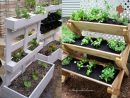 Ideas Para Cultivar Un Huerto En Casa En 2021 | Huerto En ... encequiconcerne Huerto En El Jardin