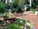 Ideas Para Decorar Tu Jardín Con Piedras Y Rocas dedans Decorar Mi Jardin Con Piedras