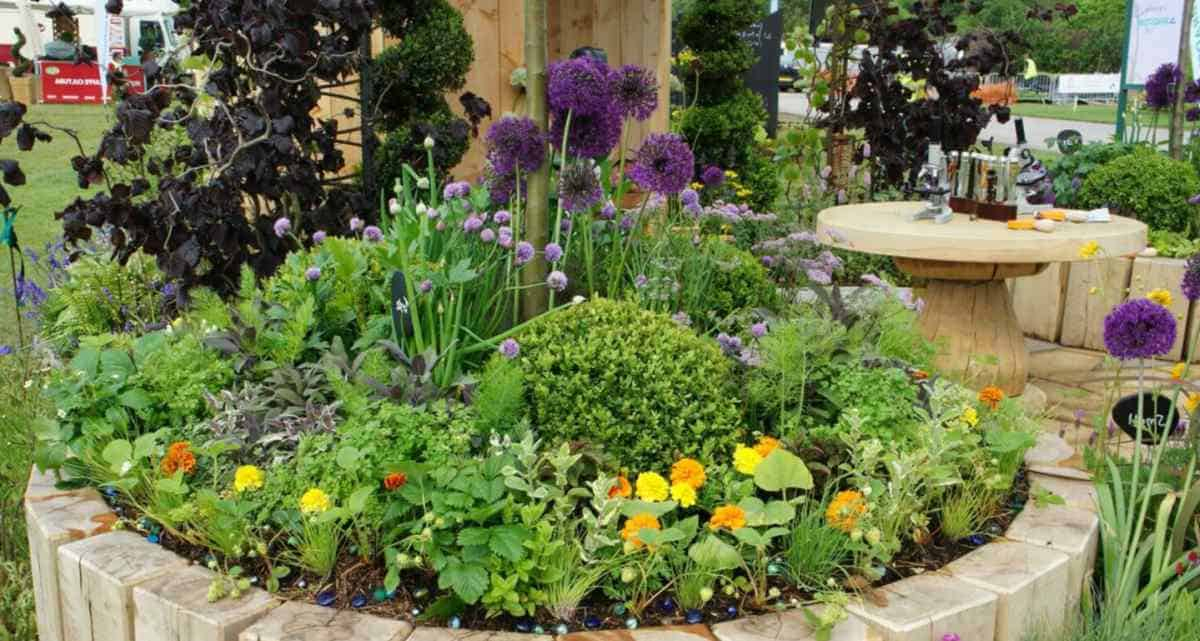 Ideas Para El Cuidado De Tus Plantas Y Tener Un Jardín Más ... concernant Flores Para El Jardin
