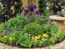 Ideas Para El Cuidado De Tus Plantas Y Tener Un Jardín Más ... concernant Ideas Para El Jardin