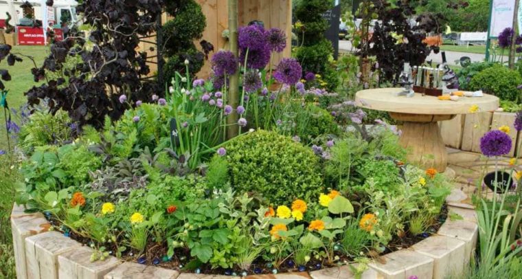 Ideas Para El Cuidado De Tus Plantas Y Tener Un Jardín Más … concernant Ideas Para El Jardin