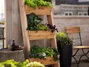Ideas Para Jardines Rústicos | Como Organizar La Casa concernant Imagenes De Jardines Rusticos