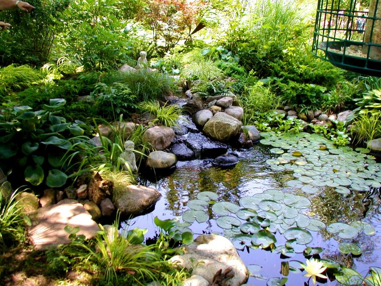 [Idées Déco] Fontaines Et Bassins Dans Le Jardin | Cocon … destiné Bassin Jardin Rectangulaire