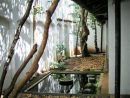 Imagen Sobre Jardines De En Casa. En Terrazas | Jardín ... pour Jardin Japones Interior