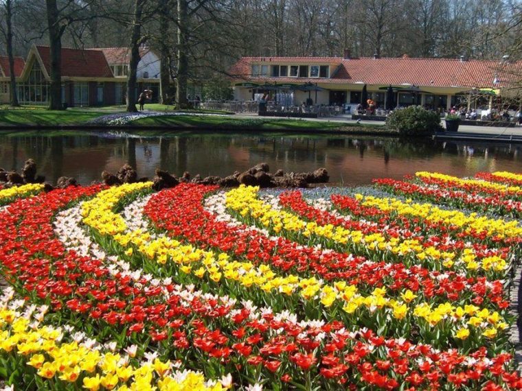 Imagenes De Los Jardines De Keukenhof – Países Bajos … avec Jardines De Holanda