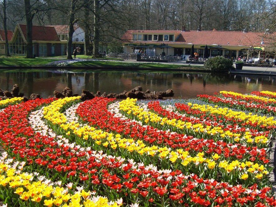 Imagenes De Los Jardines De Keukenhof - Países Bajos ... avec Jardines De Holanda