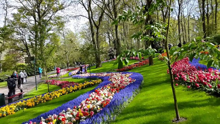 Imagenes De Los Jardines De Keukenhof – Países Bajos concernant Fotos De Flores De Jardin