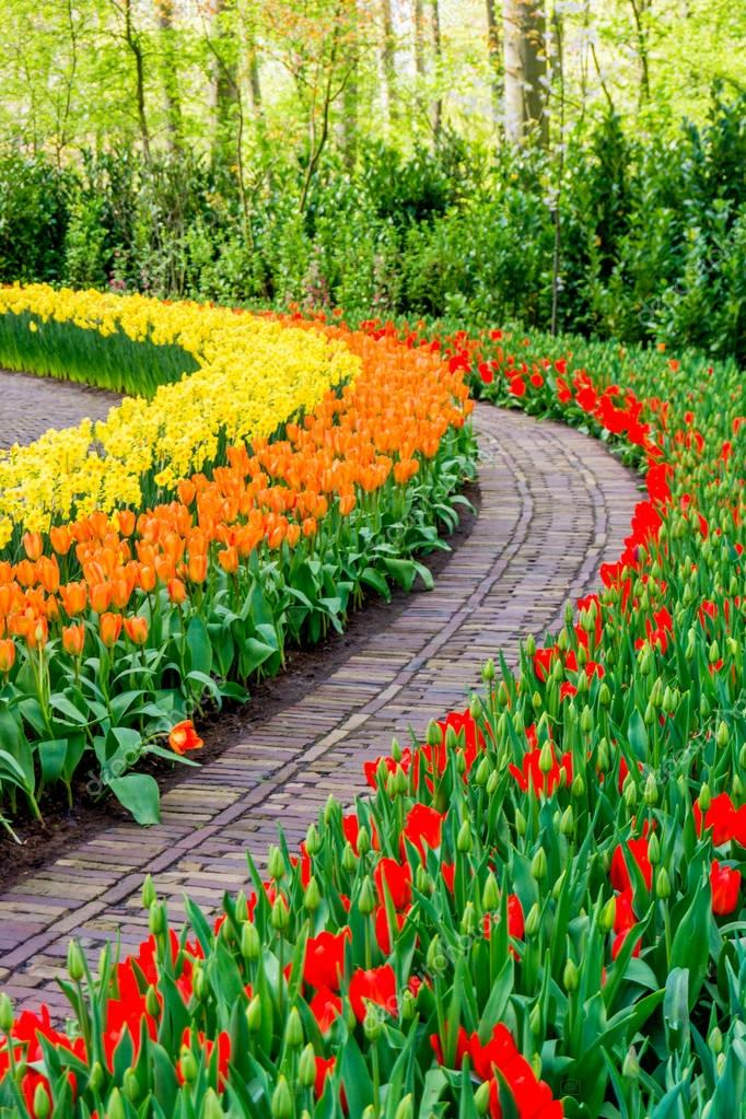 Imágenes: Hermoso Jardin De Flores | Jardín De Flores … intérieur Flores Para Jardines