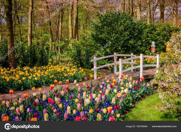 Imágenes: Paisajes Hermosos De Primavera | Hermoso Jardín … concernant Paisajes De Jardines