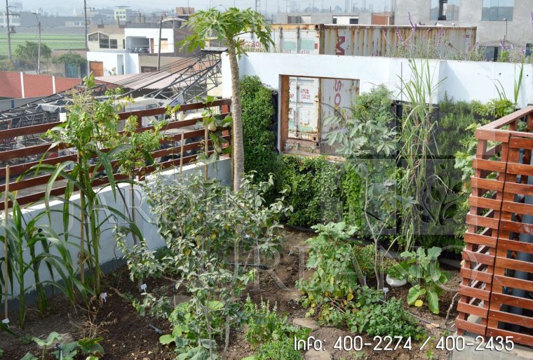 Innovando Nuestro Jardin Vertical Con Plantas Aromaticas … tout Jardines Con Plantas Aromaticas