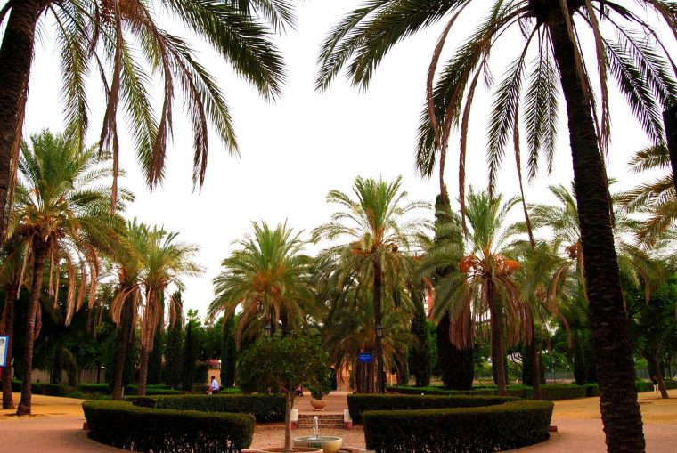 Instalaciones – Centro Arrupe Sevilla avec Jardines De La Buhaira Sevilla