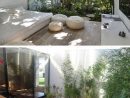 Jardim-De-Inverno02 | Interior Garden, Exterior Design ... tout Jardin Hidroponico En Casa