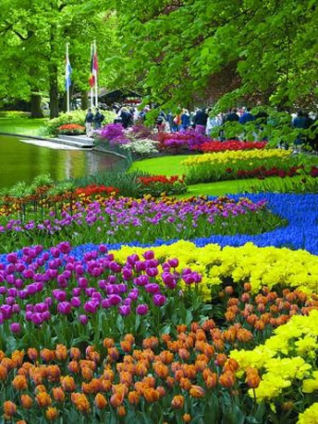 Jardin. | Beautiful Gardens, Beautiful Flowers, Gorgeous ... dedans Jardines Del Mundo Fotos
