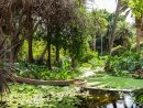 Jardín Botánico 2021 - Horario, Precio Y Ubicación | Tenerife destiné Jardín Botánico Tenerife