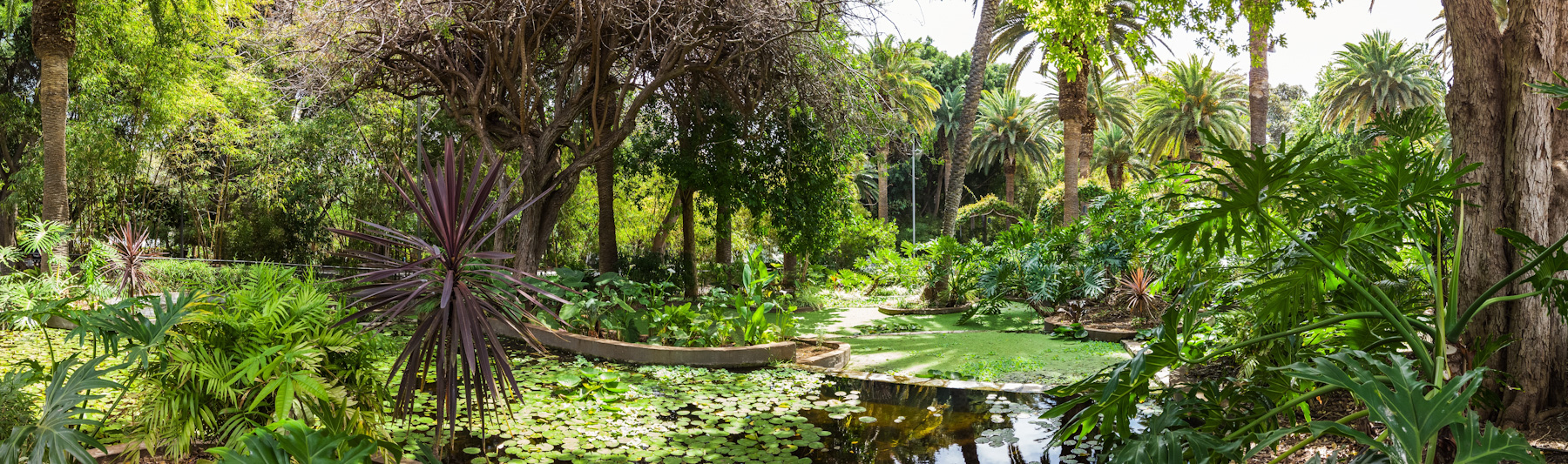 Jardín Botánico 2021 - Horario, Precio Y Ubicación | Tenerife destiné Jardín Botánico Tenerife