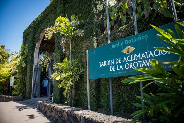 Jardín Botánico 2021 – Horario, Precio Y Ubicación | Tenerife serapportantà Jardin Botanico Gijon Horario