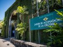 Jardín Botánico 2021 - Horario, Precio Y Ubicación | Tenerife serapportantà Jardin Botanico Horarios