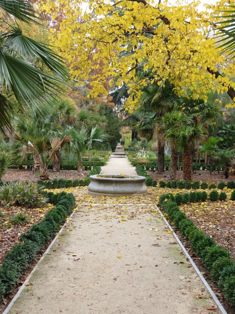 Jardín Botánico 70 | Jardín Botánico De Madrid. Otoño 2 … avec Jardin Botánico Madrid