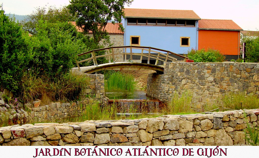 Jardín Botánico Atlántico De Gijón - El Mundo Me Rodea Y ... avec Jardín Botánico Atlántico