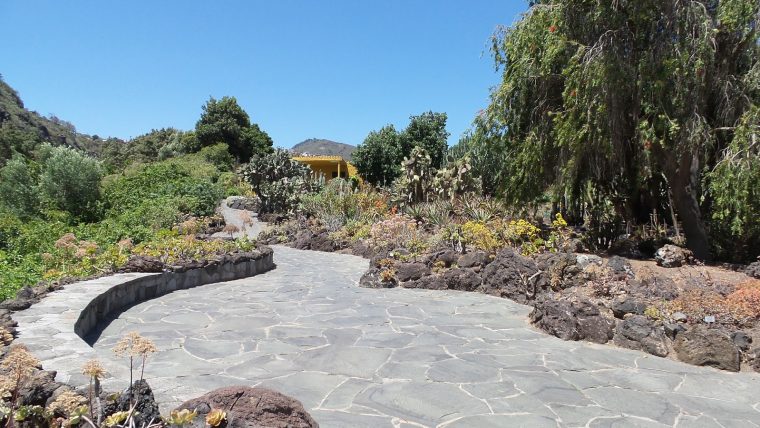 Jardín Botánico Canario "Viera Y Clavijo" Bildergalerie (7) dedans Jardin Botanico Gran Canaria