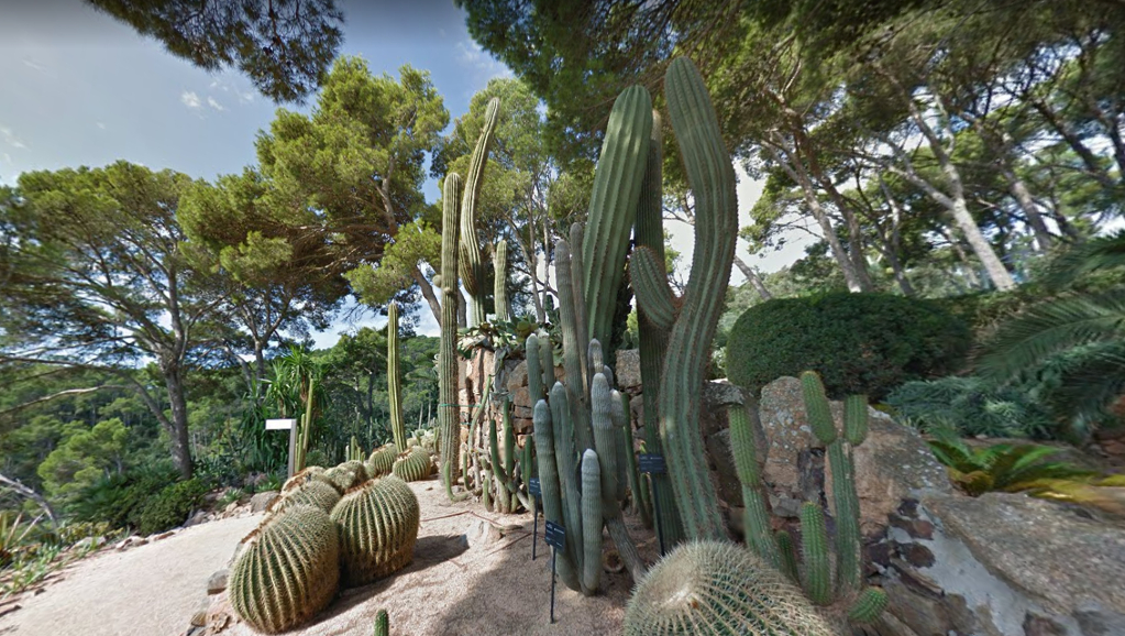 Jardín Botánico Cap Roig. Costa Brava. Palafrugell ... destiné Jardines De Cap Roig