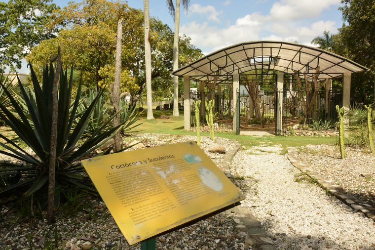 Jardín Botánico Celebra 38 Aniversario Bajo La Amenaza De … concernant Precio Jardin Botanico