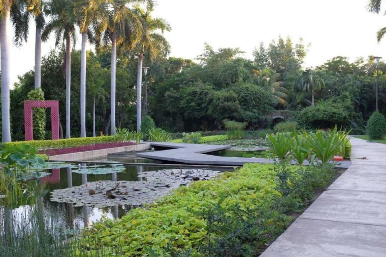 Jardín Botánico Culiacán – Opiniones, Fotos Y Teléfono à Plantas De Jardin Botanico
