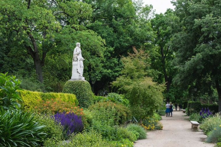 Jardín Botánico De Atocha: Características, Flora Y Fauna … encequiconcerne Jardin Colgante Madrid