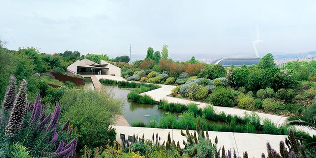 Jardín Botánico De Barcelona | Guía Repsol pour Jardines De Barcelona