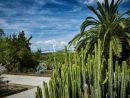 Jardín Botánico De Barcelona: Precios, Horarios Y Cómo Llegar tout Jardin Botanico Horarios