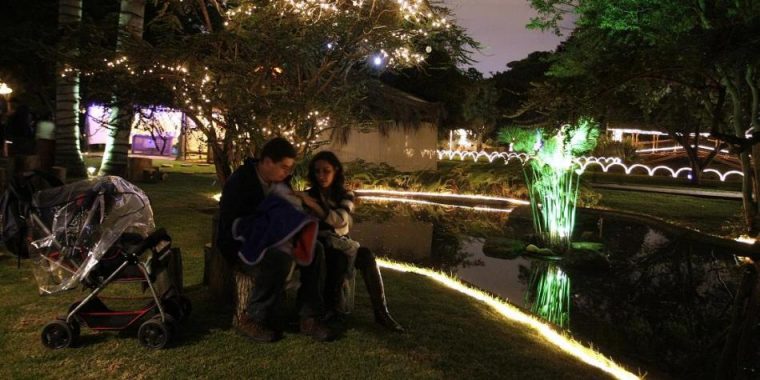 Jardin Botánico De Bogotá Horario De Recorridos Nocturnos … concernant Horario Jardin Botanico