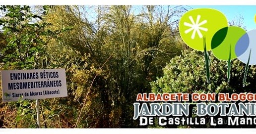 Jardín Botánico De Castilla La Mancha ~ En Ruta Turismo Y … avec Jardin Botanico Castilla La Mancha