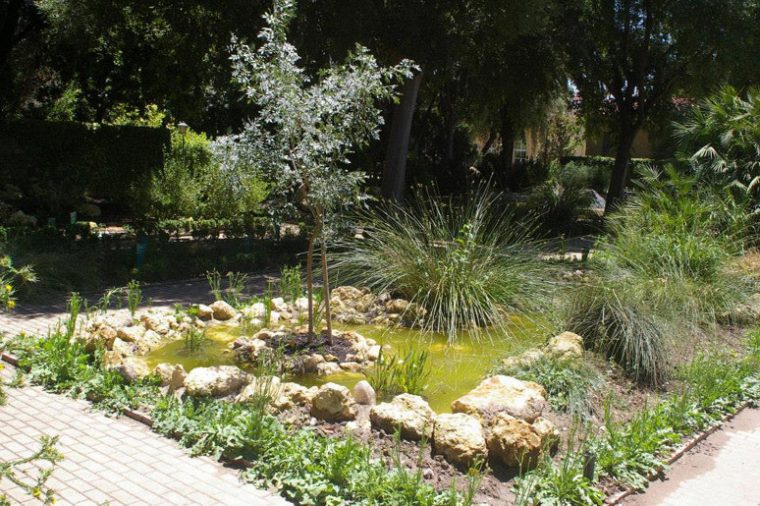 Jardín Botánico De Córdoba. Planes Para Niños En Córdoba … serapportantà Jardín Botánico Córdoba