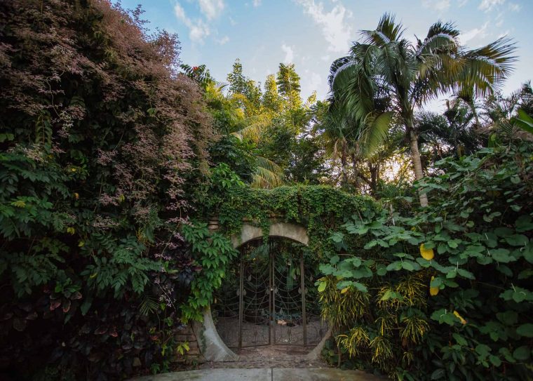 Jardín Botánico De Culiacán; Un Oasis De Plantas Y Arte pour Jardin Botanico Wikipedia