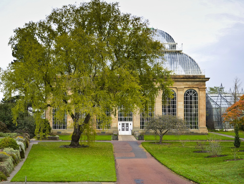 Jardín Botánico De Edimburgo, Visitas, Horarios, Precios Y ... avec Jardin Botanico Precio