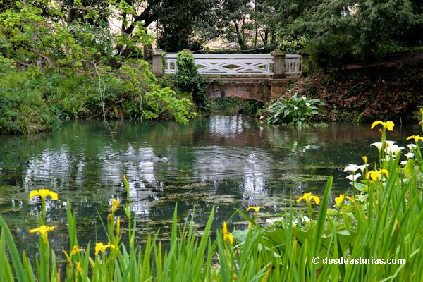 Jardín Botánico De Gijón: Plantas Orientales | Jardin … encequiconcerne Jardin Botanico Atlantico Gijon