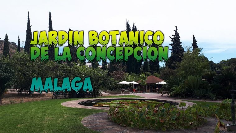 Jardín Botánico De La Concepcion, Málaga 2ª Parte – intérieur Jardín Botánico De Málaga