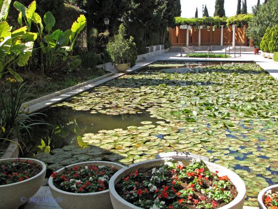 Jardín Botánico De La Concepción Malaga – Buscar Con … tout Jardin Botanico De La Concepcion Malaga