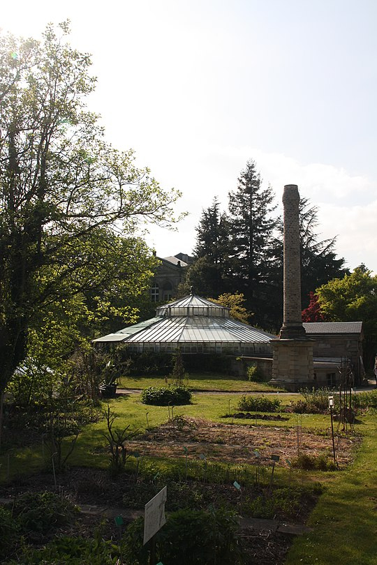 Jardín Botánico De La Universidad De Estrasburgo … tout Jardin Botanico Wikipedia
