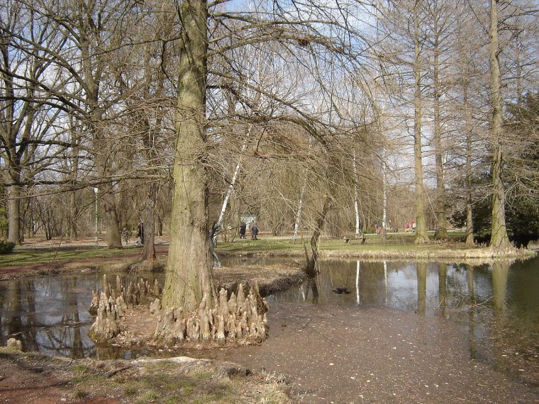 Jardín Botánico De La Universidad De Szeged – Wikipedia … à Jardin Botanico Wikipedia