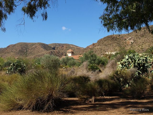 Jardín Botánico De Rodalquilar (Almería) | Jardin Botanico … concernant Jardin Botanico Murcia