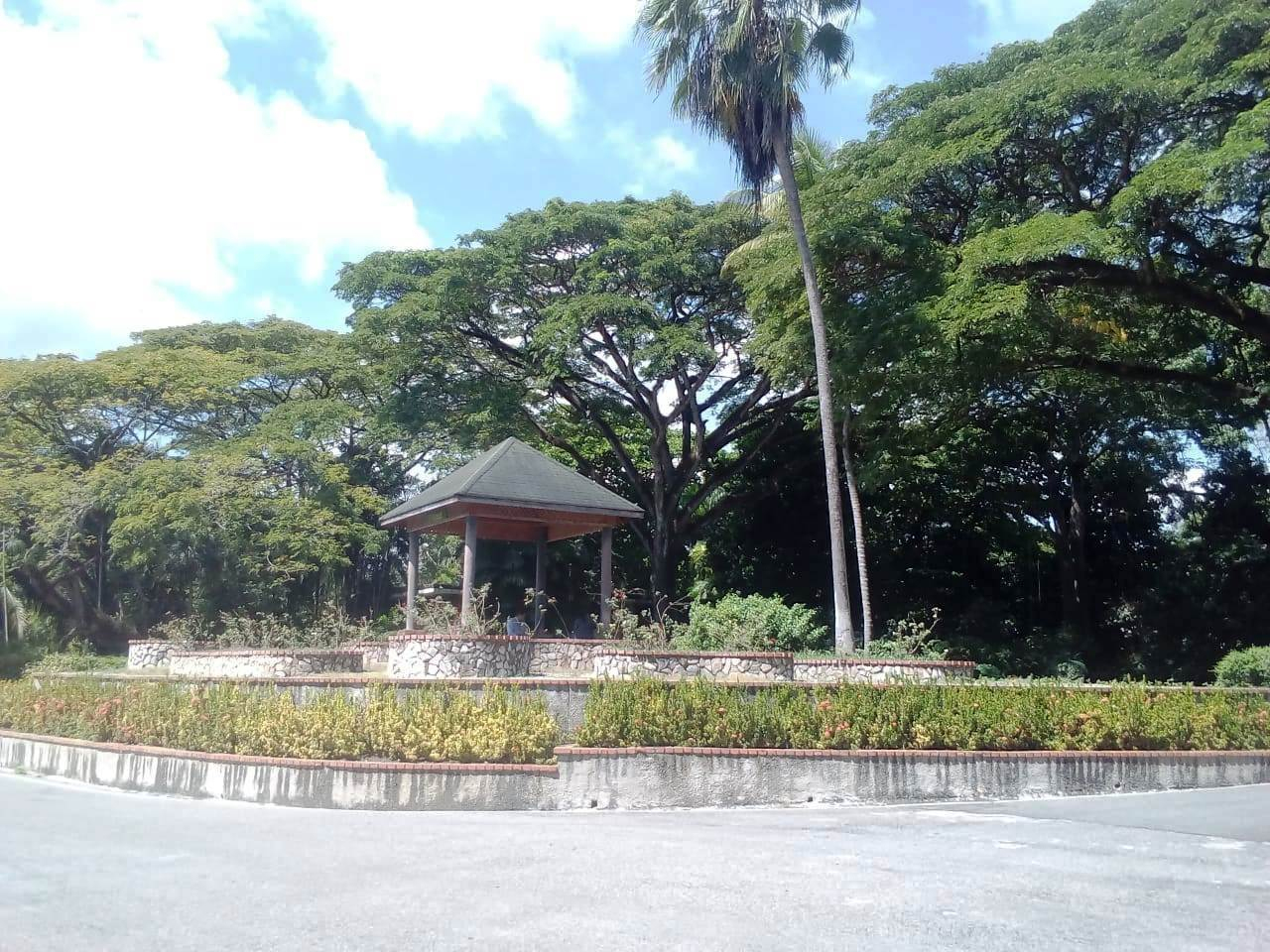 Jardin Botanico De Santo Domingo Rep Dominicana destiné Jardin Botanico Santo Domingo