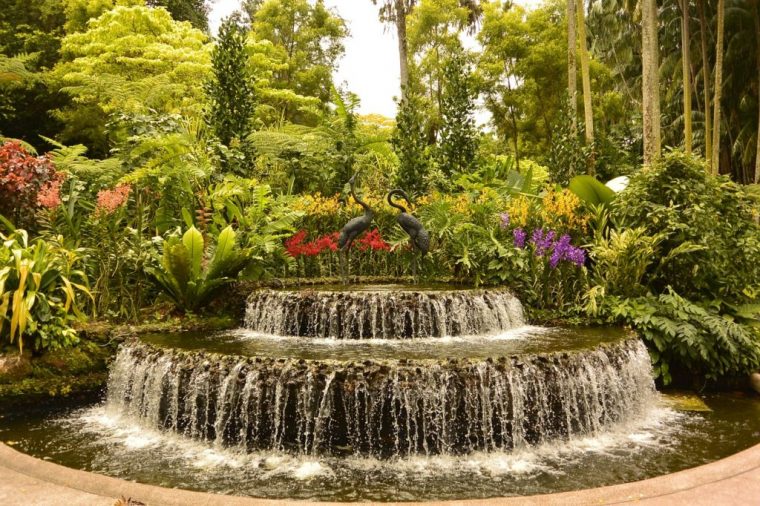 Jardín Botánico De Singapur, Patrimonio De La Humanidad 2015 pour Entrada Jardin Botanico