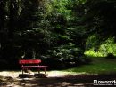 Jardín Botánico De Valdivia | Como Llegar &amp; Horarios serapportantà Jardin Botanico Horarios