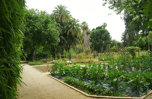 Jardin Botánico De Valencia (12) | Sony Dsc | Cátia Silva ... serapportantà Valencia Jardin Botanico