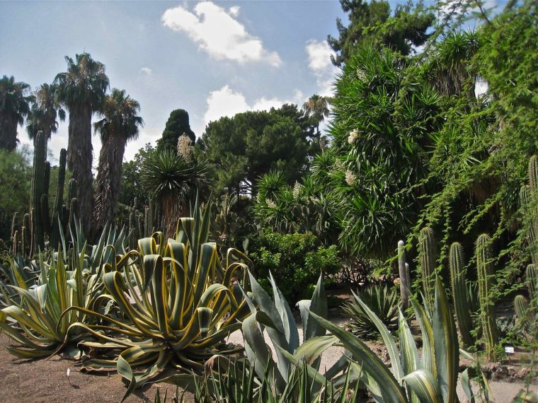 Jardín Botánico De Valencia | Jardín Botánico De Valencia … encequiconcerne Valencia Jardin Botanico