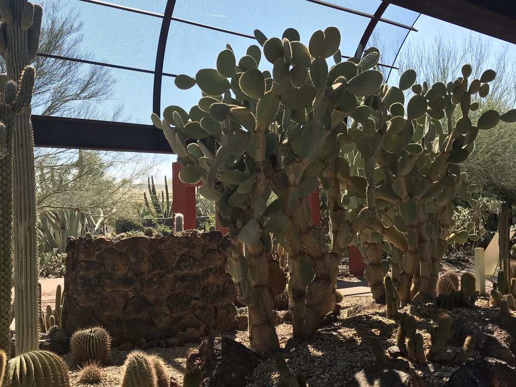 Jardín Botánico Del Desierto | 12 De Marzo De 2017 1:57 P ... intérieur Jardin Del Desierto